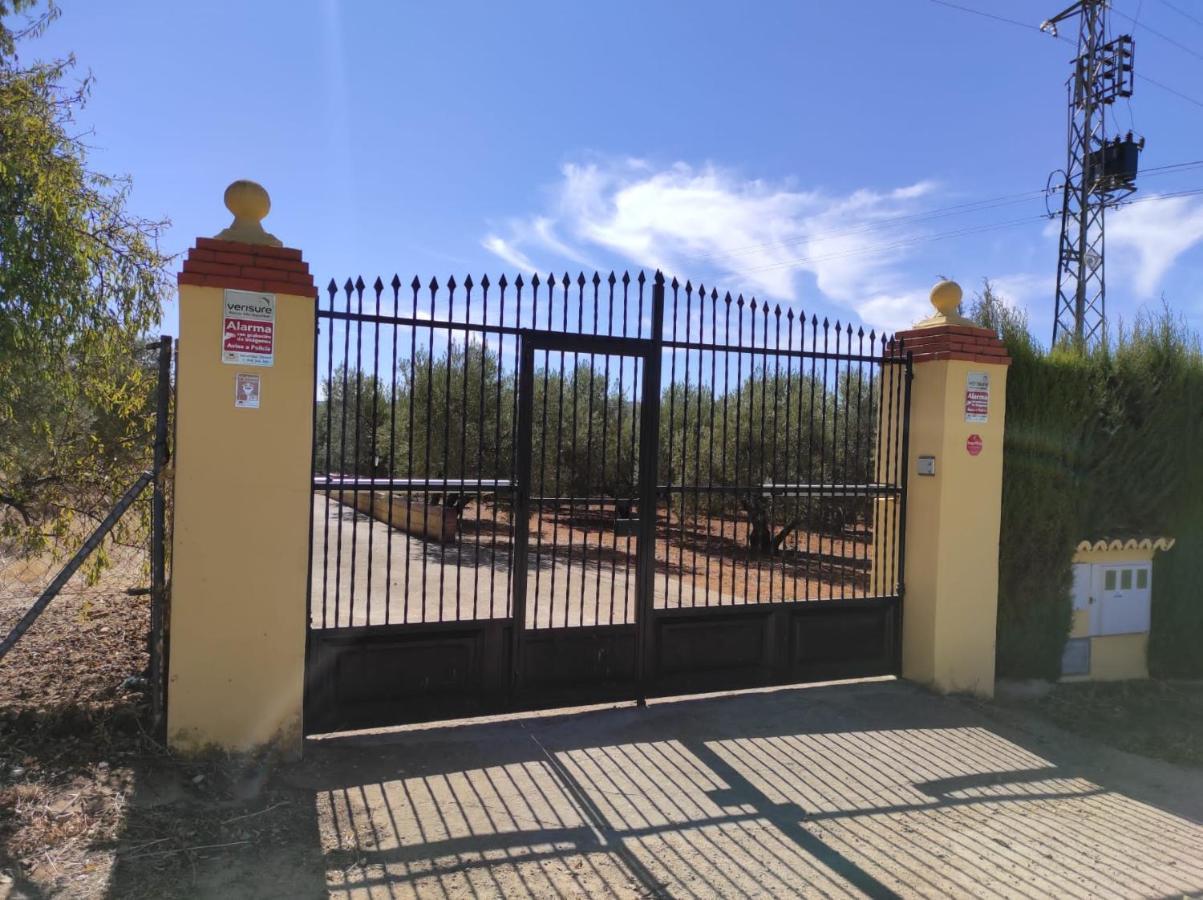 Los Abuelos Setenil De Las Bodegas Buitenkant foto