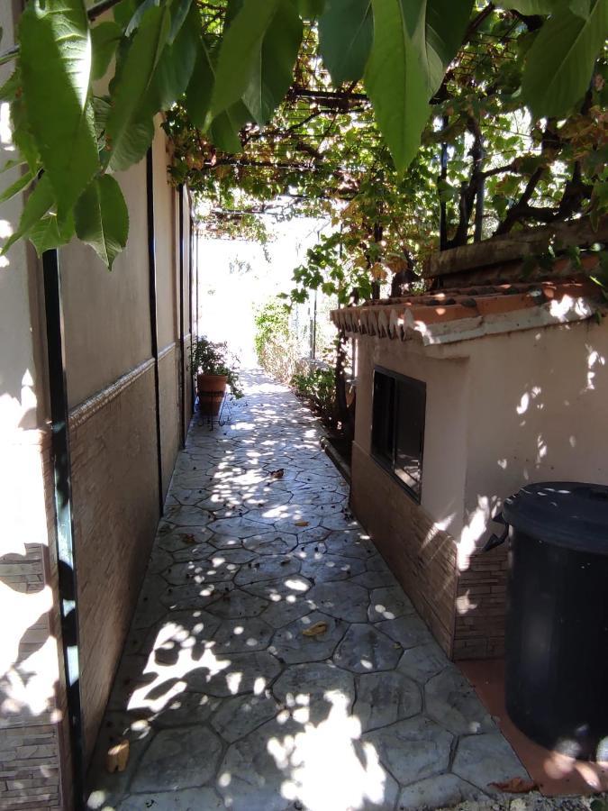 Los Abuelos Setenil De Las Bodegas Buitenkant foto