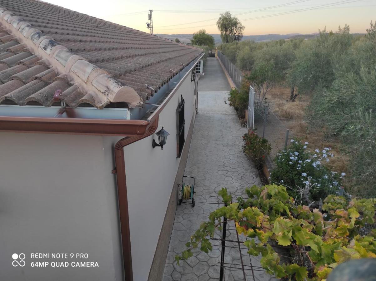 Los Abuelos Setenil De Las Bodegas Buitenkant foto