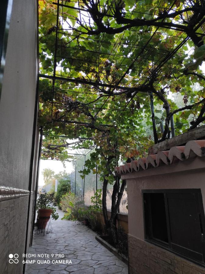 Los Abuelos Setenil De Las Bodegas Buitenkant foto