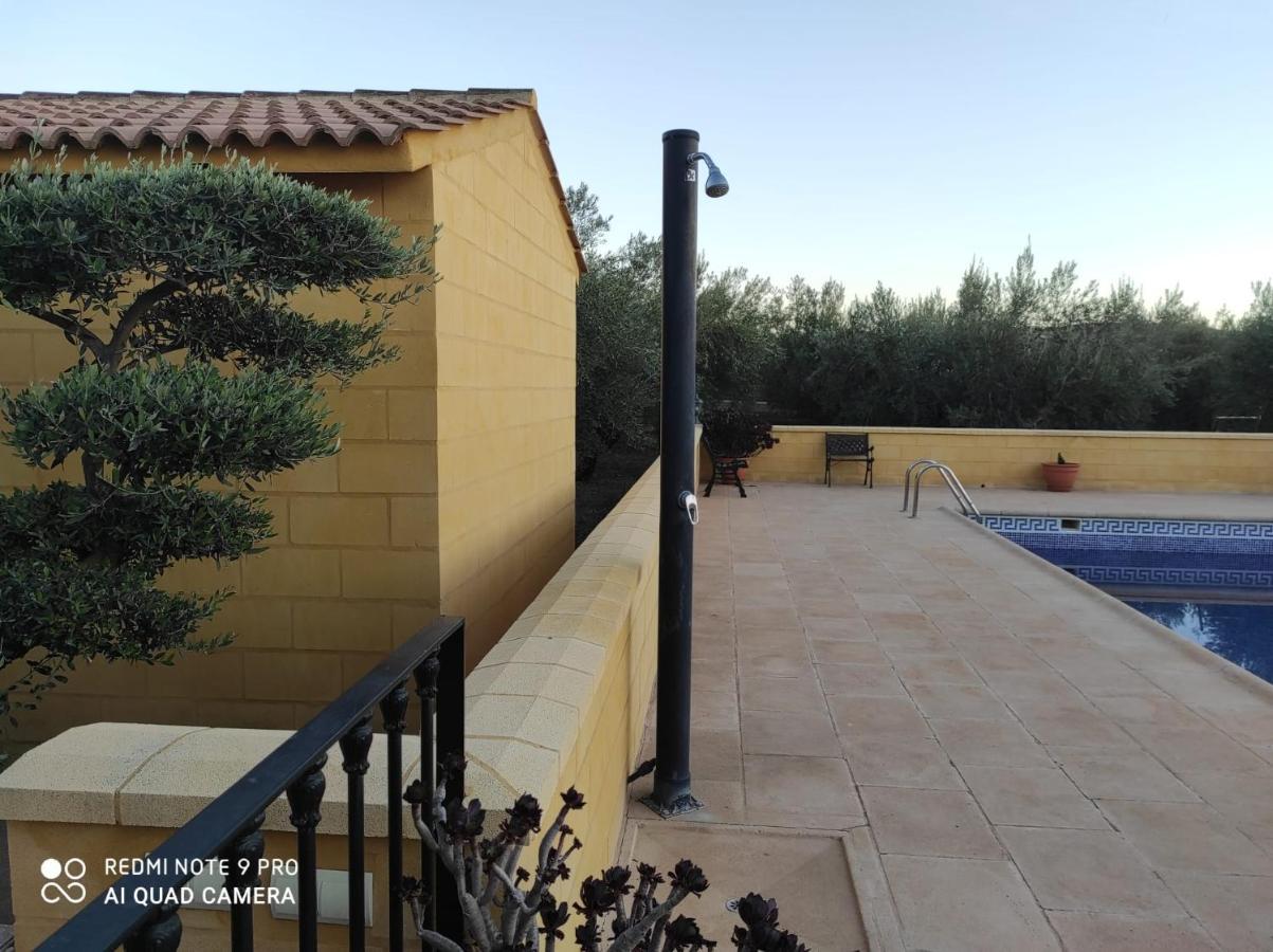 Los Abuelos Setenil De Las Bodegas Buitenkant foto